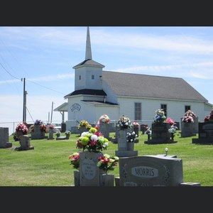 Meet your Posher, Danny hazel